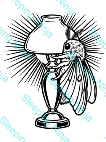 Moth and Lamp